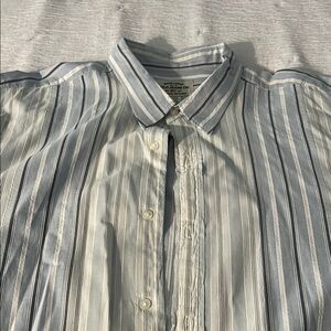 Polo Ralph Lauren Blue and White Striped Shirt